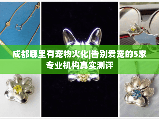 成都哪里有宠物火化|告别爱宠的5家专业机构真实测评