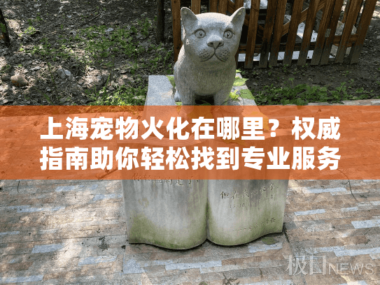 上海宠物火化在哪里？权威指南助你轻松找到专业服务
