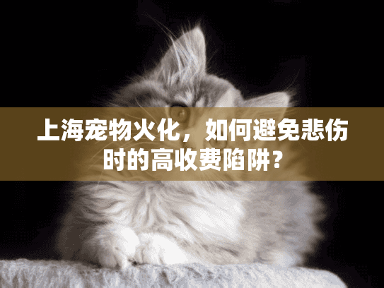 上海宠物火化，如何避免悲伤时的高收费陷阱？