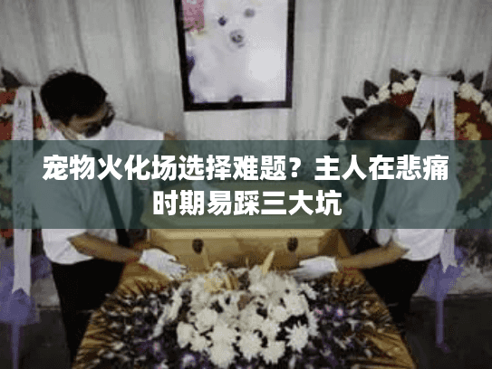 宠物火化场选择难题？主人在悲痛时期易踩三大坑