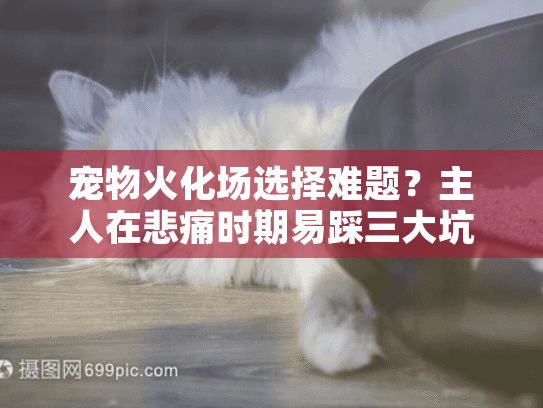 宠物火化场选择难题？主人在悲痛时期易踩三大坑