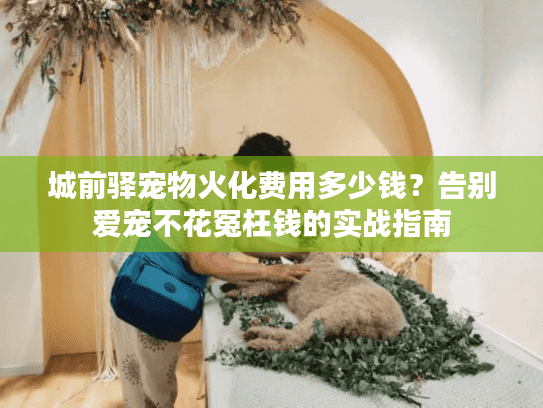 城前驿宠物火化费用多少钱？告别爱宠不花冤枉钱的实战指南