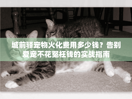 城前驿宠物火化费用多少钱？告别爱宠不花冤枉钱的实战指南