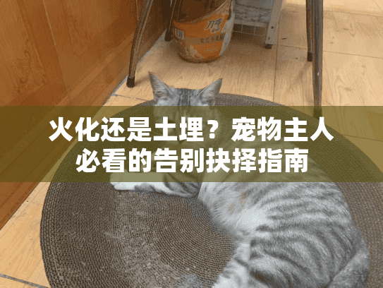 火化还是土埋？宠物主人必看的告别抉择指南