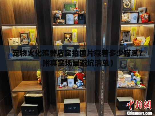 宠物火化殡葬店实拍图片藏着多少猫腻?附真实场景避坑清单) 宠物火化殡葬店实拍图片藏着多少猫腻?附真实场景避坑清单)
