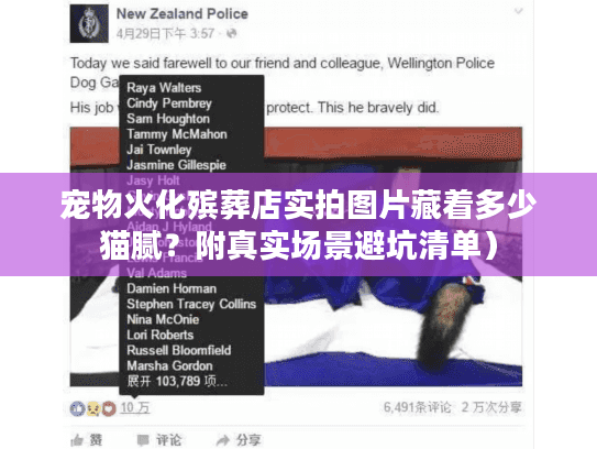 宠物火化殡葬店实拍图片藏着多少猫腻?附真实场景避坑清单) 宠物火化殡葬店实拍图片藏着多少猫腻?附真实场景避坑清单)