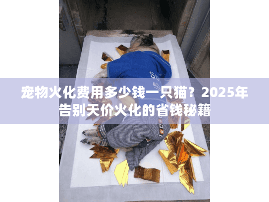 宠物火化费用多少钱一只猫？2025年告别天价火化的省钱秘籍