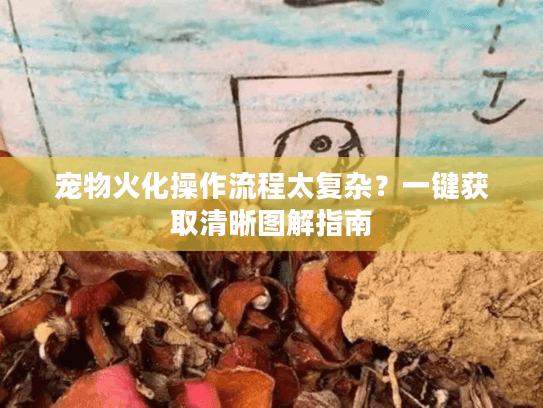 宠物火化操作流程太复杂图片