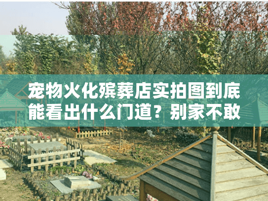宠物火化殡葬店实拍图到底能看出什么门道?别家不敢说的内幕揭秘! 宠物火化殡葬店实拍图到底能看出什么门道?别家不敢说的内幕揭秘!