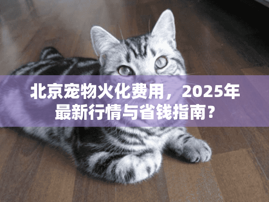 北京宠物火化费用，2025年最新行情与省钱指南？