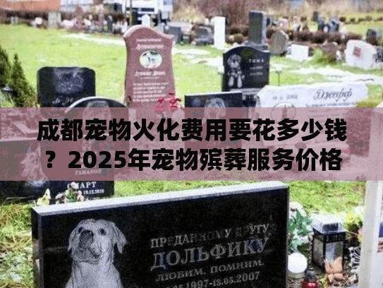 成都宠物火化费用要花多少钱？2025年宠物殡葬服务价格全面解析