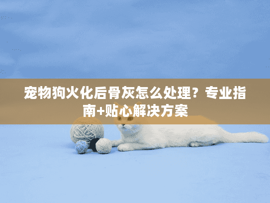 宠物狗火化后骨灰怎么处理？专业指南+贴心解决方案