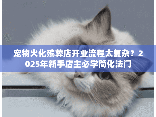 宠物火化殡葬店开业流程太复杂？2025年新手店主必学简化法门