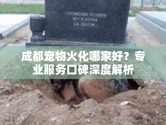 成都宠物火化哪家好？专业服务口碑深度解析