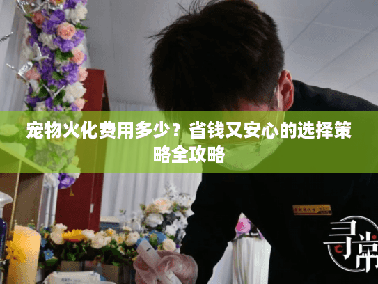 宠物火化费用多少？省钱又安心的选择策略全攻略