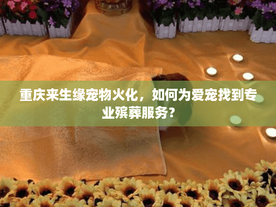 重庆来生缘宠物火化，如何为爱宠找到专业殡葬服务？