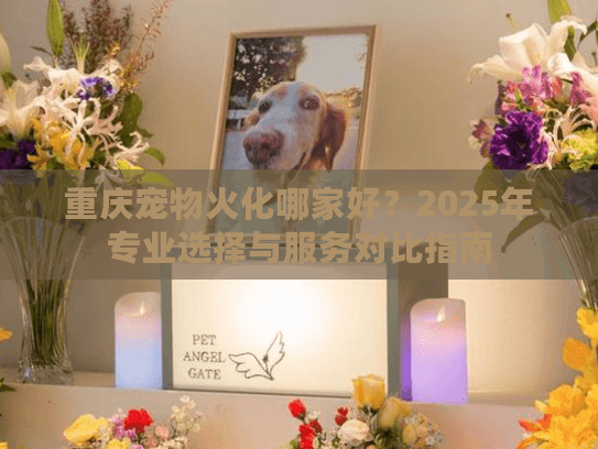 重庆宠物火化哪家好？2025年专业选择与服务对比指南