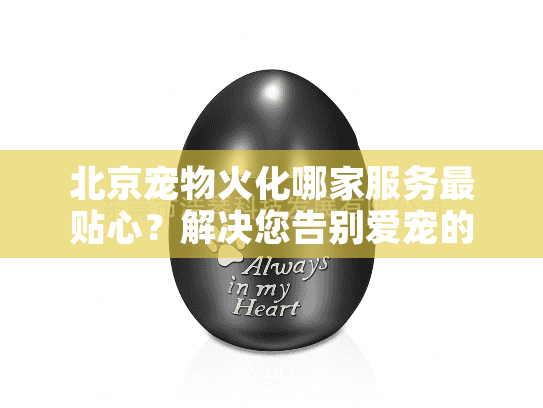 北京宠物火化哪家服务最贴心？解决您告别爱宠的揪心难题