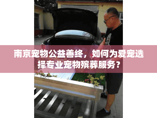 南京宠物公益善终，如何为爱宠选择专业宠物殡葬服务？