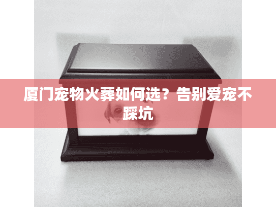 厦门宠物火葬如何选？告别爱宠不踩坑