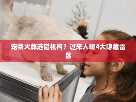 宠物火葬选错机构?过来人曝4大隐藏雷区 宠物火葬选错机构?过来人曝4大隐藏雷区