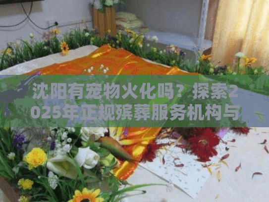 沈阳有宠物火化吗？探索2025年正规殡葬服务机构与善终指南