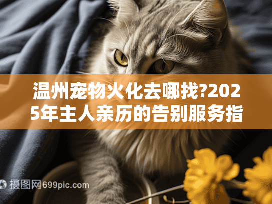 温州宠物火化去哪找?2025年主人亲历的告别服务指南