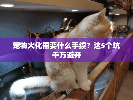 宠物火化需要什么手续？这5个坑千万避开