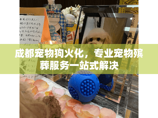 成都宠物狗火化，专业宠物殡葬服务一站式解决