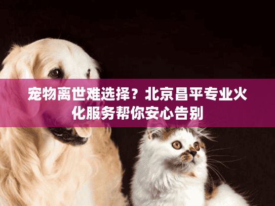 宠物离世难选择？北京昌平专业火化服务帮你安心告别