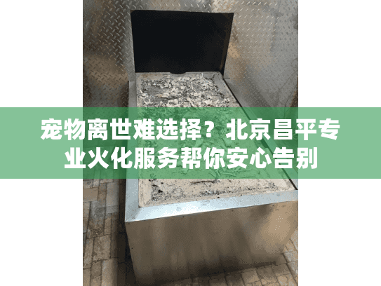 宠物离世难选择？北京昌平专业火化服务帮你安心告别