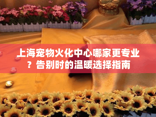 上海宠物火化中心哪家更专业？告别时的温暖选择指南