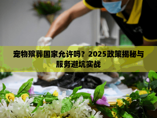 宠物殡葬国家允许吗？2025政策揭秘与服务避坑实战