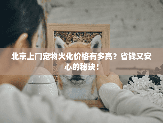 北京上门宠物火化价格有多高？省钱又安心的秘诀！