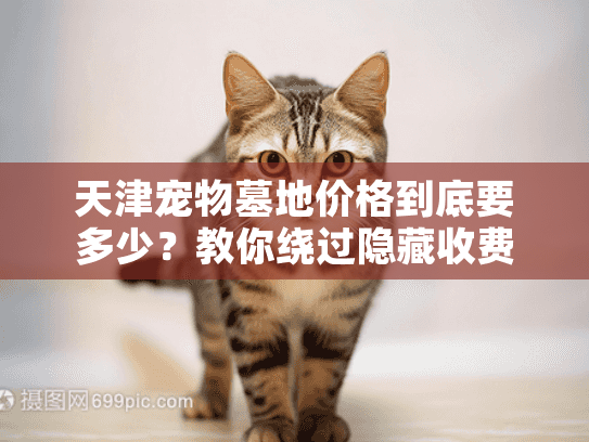 天津宠物墓地价格到底要多少？教你绕过隐藏收费的终极指南