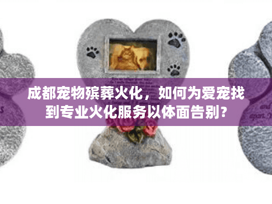 成都宠物殡葬火化，如何为爱宠找到专业火化服务以体面告别？
