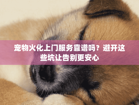 宠物火化上门服务靠谱吗?避开这些坑让告别更安心 宠物火化上门服务靠谱吗?避开这些坑让告别更安心