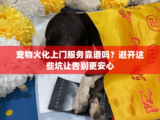 宠物火化上门服务靠谱吗?避开这些坑让告别更安心 宠物火化上门服务靠谱吗?避开这些坑让告别更安心