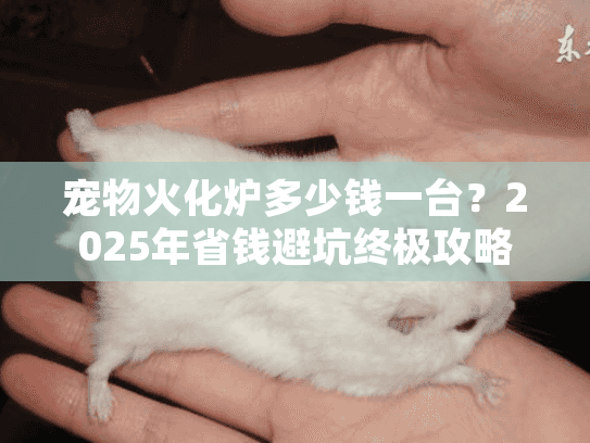 宠物火化炉多少钱一台?2025年省钱避坑终极攻略 宠物火化炉多少钱一台?2025年省钱避坑终极攻略