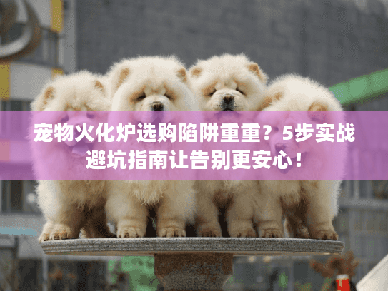 宠物火化炉选购陷阱重重?5步实战避坑指南让告别更安心! 宠物火化炉选购陷阱重重?5步实战避坑指南让告别更安心!