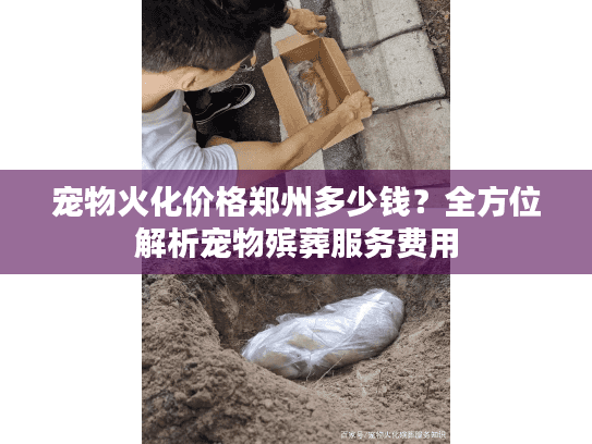 宠物火化价格郑州多少钱？全方位解析宠物殡葬服务费用