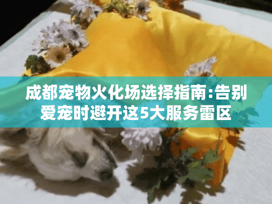 成都宠物火化场选择指南:告别爱宠时避开这5大服务雷区