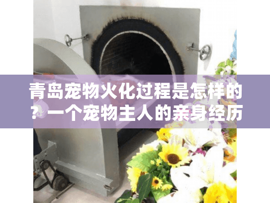 青岛宠物火化过程是怎样的？一个宠物主人的亲身经历与细节分享