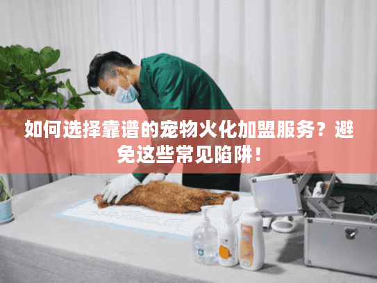 如何选择靠谱的宠物火化加盟服务？避免这些常见陷阱！