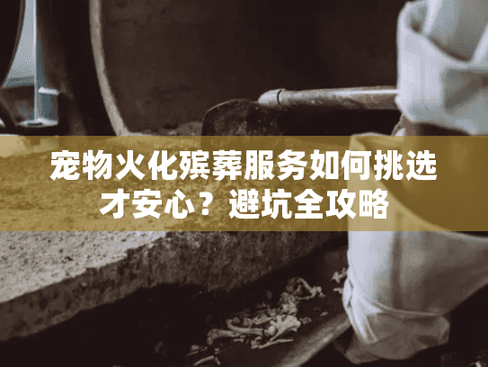 宠物火化殡葬服务如何挑选才安心？避坑全攻略