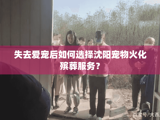 失去爱宠后如何选择沈阳宠物火化殡葬服务？