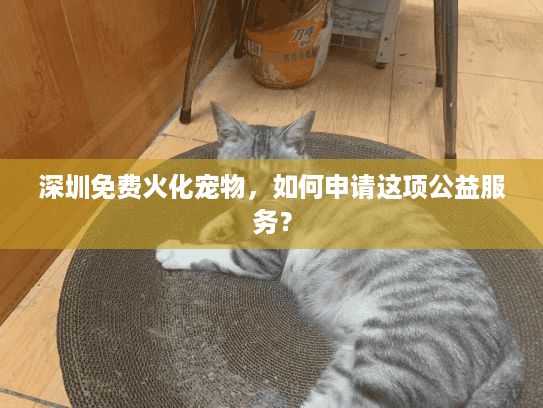深圳免费火化宠物，如何申请这项公益服务？