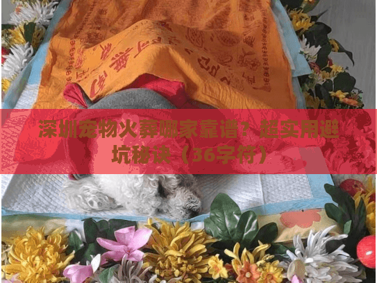 深圳宠物火葬哪家靠谱？超实用避坑秘诀（36字符）