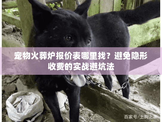 宠物火葬炉报价表哪里找？避免隐形收费的实战避坑法