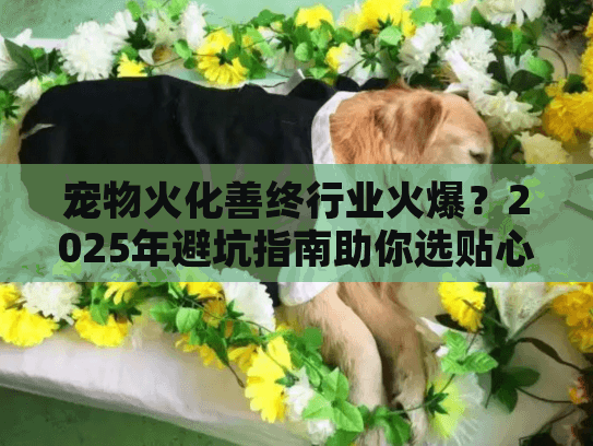宠物火化善终行业火爆？2025年避坑指南助你选贴心服务
